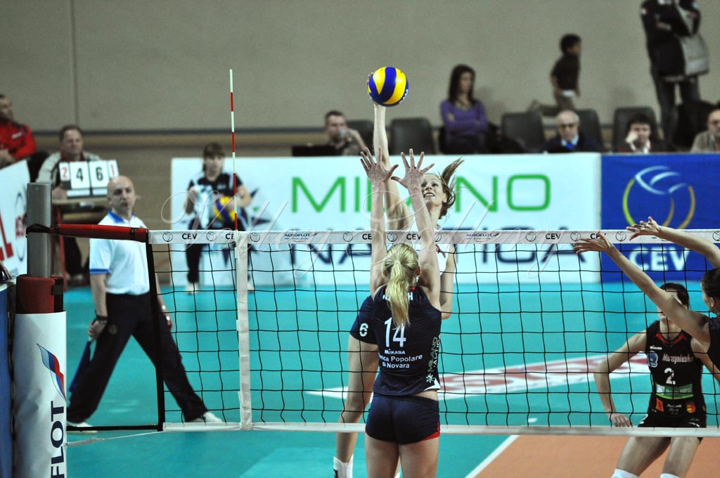 Asystel NO Muszynianka (38)